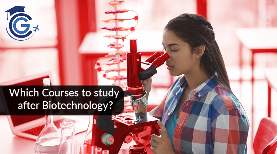 Which Courses to study after Biotechnology